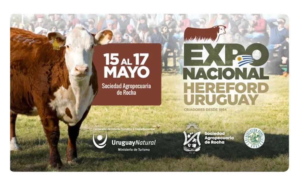 Hoy comienza la Expo Nacional Hereford