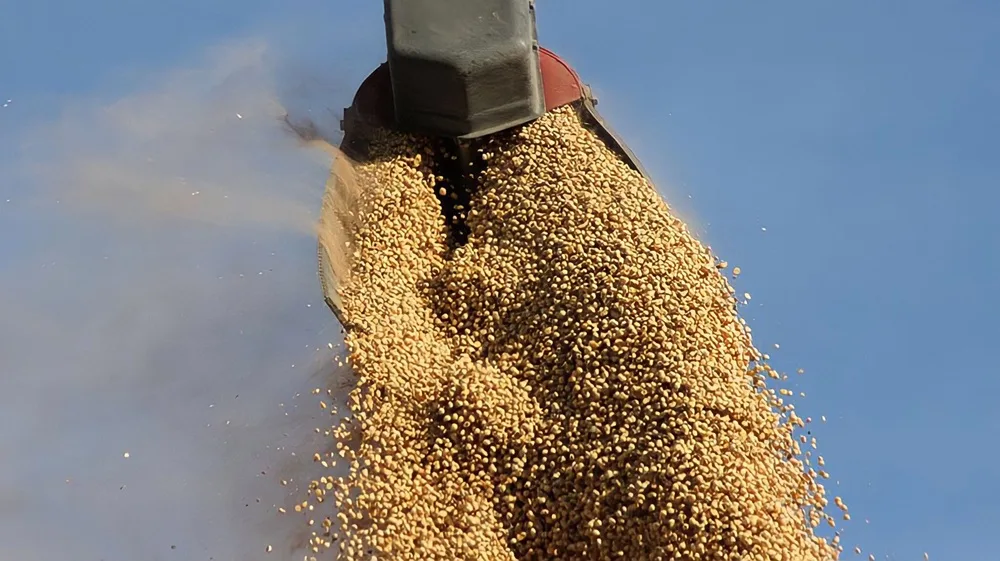Navegamos a ciegas por la falta de información.