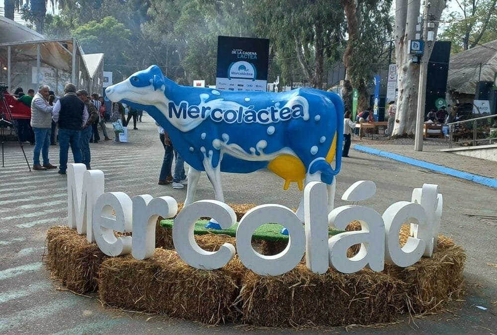 Analista de Rabobank sobre el mercado lácteo: Argentina y Uruguay se están recuperando.