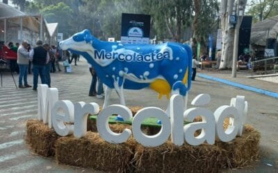 Analista de Rabobank sobre el mercado lácteo: Argentina y Uruguay se están recuperando.