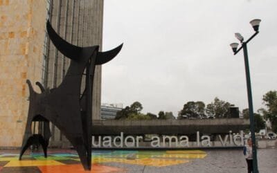 Arroz editado en Ecuador será regulado como convencional.