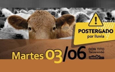 La Revancha de Valdez se realizará el martes 3 de junio.