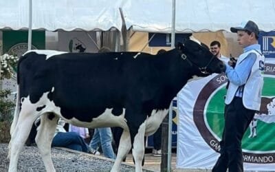 Escuelas agrarias de Colonia y Canelones están presentes en la Expo Mercoláctea 2025.