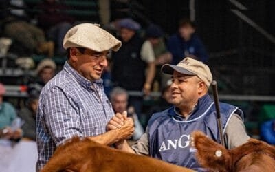En la Semana Angus Otoño 2025 de Argentina, Peñagaricano destacó la calidad de los animales.