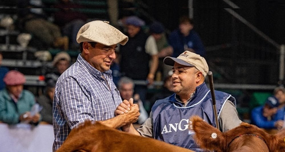 En la Semana Angus Otoño 2025 de Argentina, Peñagaricano destacó la calidad de los animales.