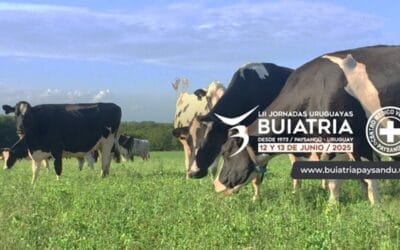 Hoy será el lanzamiento de la 52ª edición de las Jornadas de Buiatría.