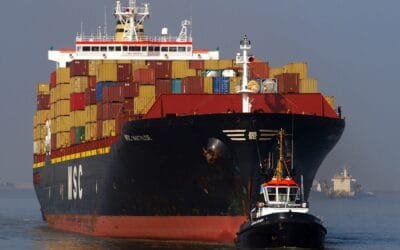 Aranceles de Trump tienen efecto sustancial en el comercio de carne vacuna.