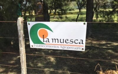 Dispersión a todas las cuencas lecheras en el remate de Di Santi en Mercoláctea.