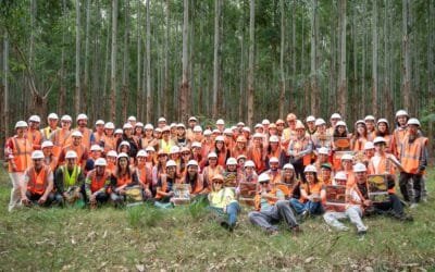 La Ruta del Hongo: una red productiva que ya supera los US$ 4 millones al año.