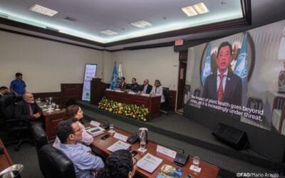 Día Internacional de la Sanidad Vegetal; la FAO hizo un llamado mundial a la acción.