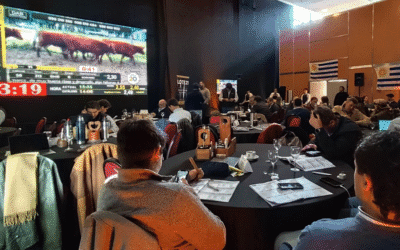 Remate de Lote 21 desde Buenos Aires, colocó el 98% de la oferta.