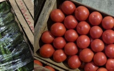 Aumenta la remisión proveniente del litoral norte.