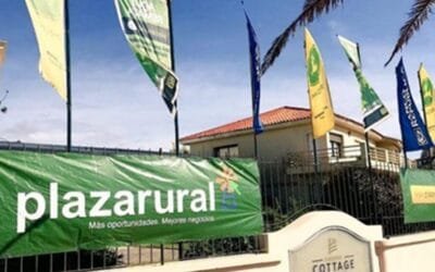 El martes y miércoles, Plaza Rural vendió casi 10.000 vacunos colocando el 98,78% de la oferta.