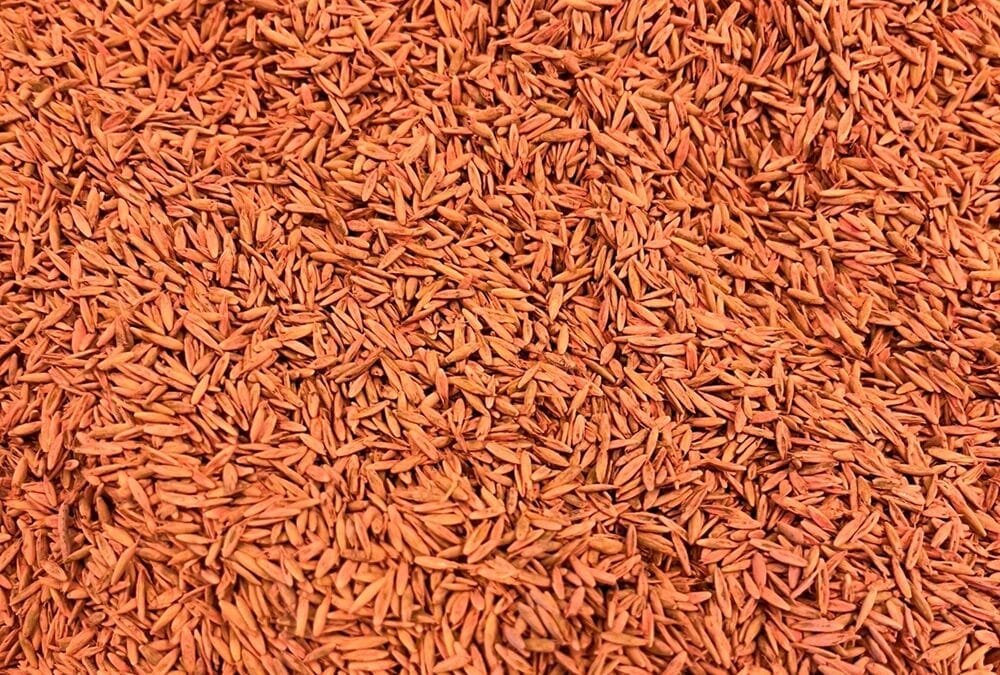 Comunicado sobre el manejo de efluentes en el tratamiento de semillas.