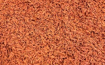 Comunicado sobre el manejo de efluentes en el tratamiento de semillas.