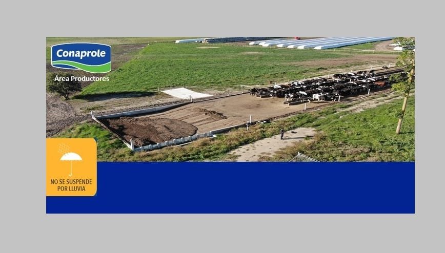 El viernes 9 a las 09.00 es la jornada de campo de otoño de Conaprole.