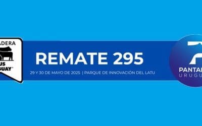 El jueves y viernes Pantalla Uruguay rematará importante oferta.