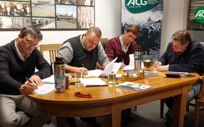 Se fortalece el mercado ganadero.