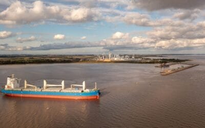 Montes del Plata presentó su sexto reporte de sostenibilidad, con un impacto económico de más de US$ 1.100 millones.