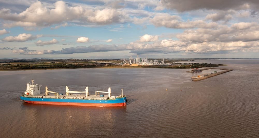 Montes del Plata presentó su sexto reporte de sostenibilidad, con un impacto económico de más de US$ 1.100 millones.