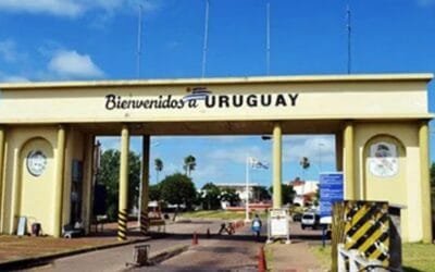 Ante las vacaciones de julio, el MGAP recuerda no ingresar al país productos de origen animal o vegetal, incluidas artesanías.