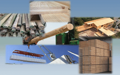 El sector forestal ocupa a más de 18.000 personas y genera ingresos anuales por US$ 3.045 millones.