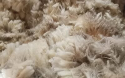 El IME cerró a US$ 7,90, registrando una baja del 0,6%.