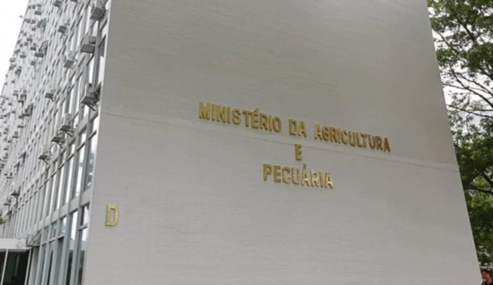 Brasil. Son 284 los caballos muertos por consumir ración contaminada.