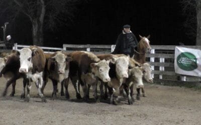 Ágil la pista, buenos los precios en el Campanero.