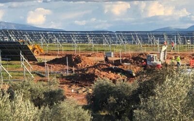 En nombre de la energía verde, España está destruyendo los olivares milenarios de Jaén.