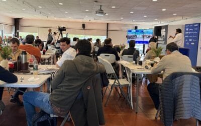 Mañana Pantalla Uruguay rematará más de 5.710 vacunos.