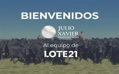 Lote 21 suma un nuevo escritorio a su equipo.