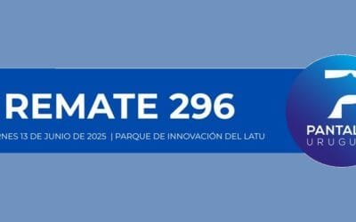 Hoy Pantalla Uruguay rematará más de 4.700 vacunos.