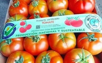12 productores hortícolas recibieron certificación de producción integrada con uso de bioinsumos.