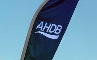 Casi las tres cuartas partes de la carne que Uruguay exporta a Reino Unido es producto fresco.