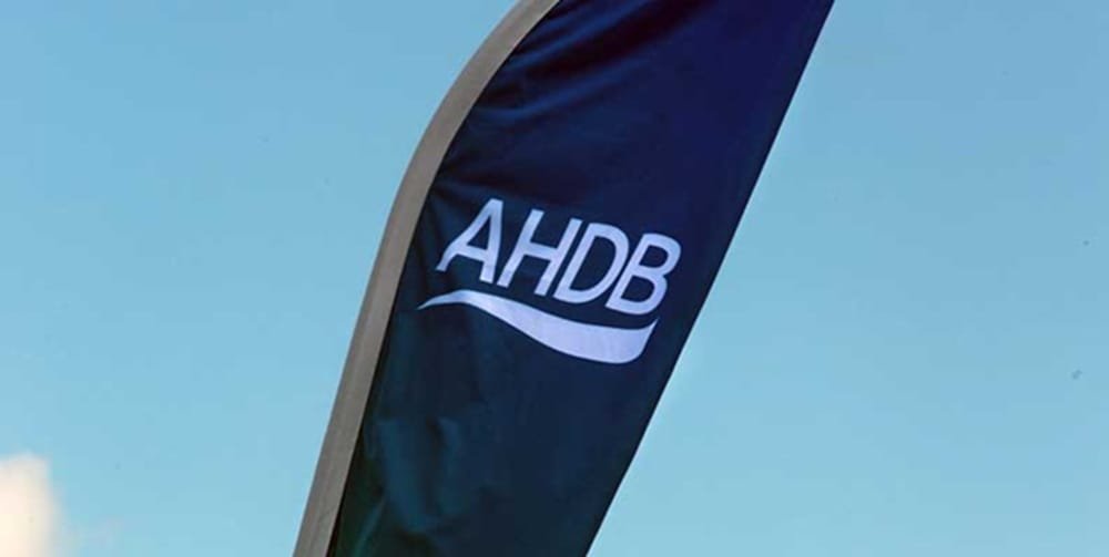 Casi las tres cuartas partes de la carne que Uruguay exporta a Reino Unido es producto fresco.