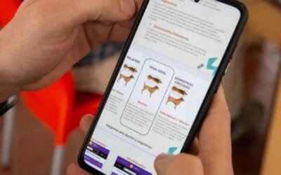 Científicos argentinos crean una App para identificar perros callejeros.