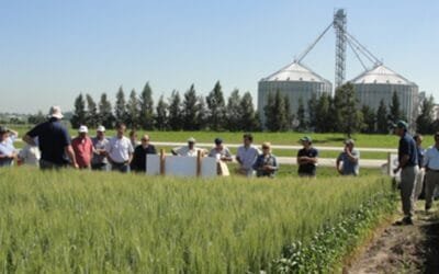 San José, Capital Nacional del Cooperativismo.