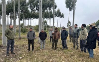 Fratti sobre Susilvo: Hay que “apoyar todos los emprendimientos y a los emprendedores que diversifican”.