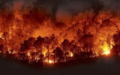 En Europa, el abandono del medio rural contribuye a los grandes incendios.