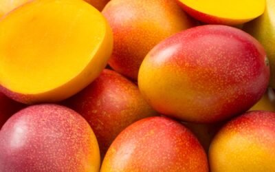 La fruta más exportada por Brasil generó ingresos por US$ 350 millones.