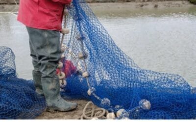 La razón de la sinrazón.