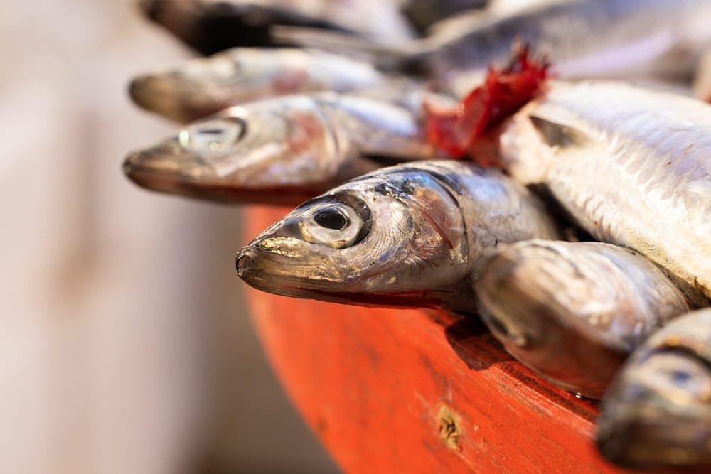 El pescado ya no es el plato principal en la mesa de los japoneses
