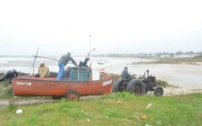 Comap: criterios específicos para promover la modernización y desarrollo en pesca y acuicultura.