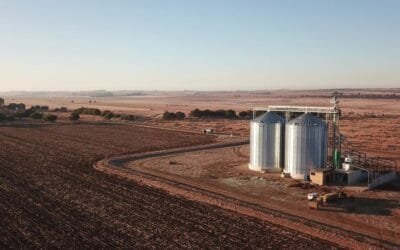 China e India incrementan el almacenamiento de granos.