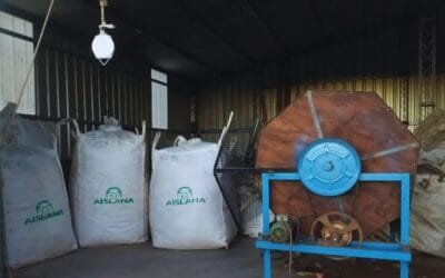 Desarrollan aislantes térmicos a partir del descarte de lana de oveja