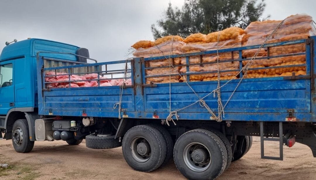 INDA envió al norte del país parte de la papa y zanahoria donada por los productores.