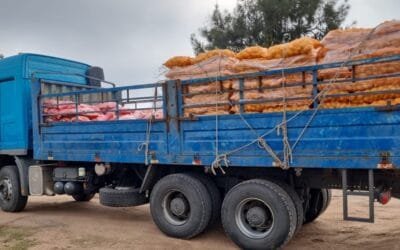 INDA envió al norte del país parte de la papa y zanahoria donada por los productores.