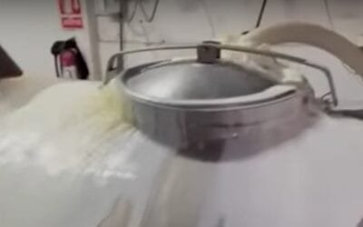 Sindicato de Conaprole dice que el video sobre derrame de leche es falso.