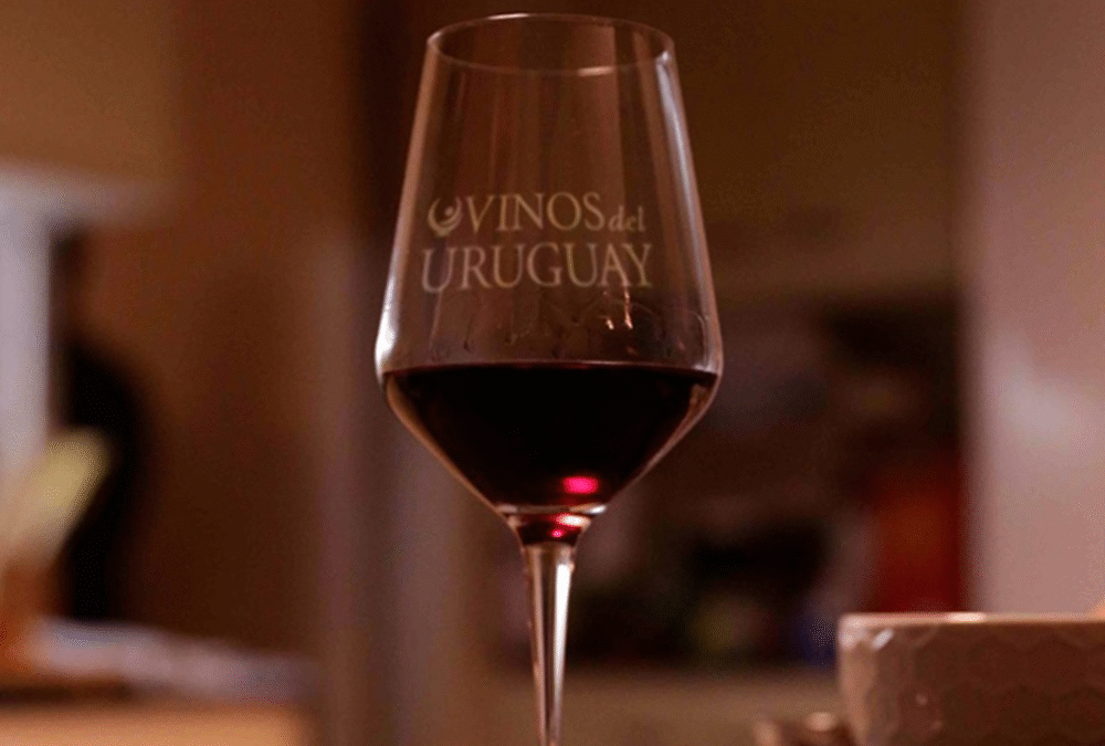 210 viñedos y 28 bodegas fueron certificadas por el programa de viticultura sostenible del Inavi.